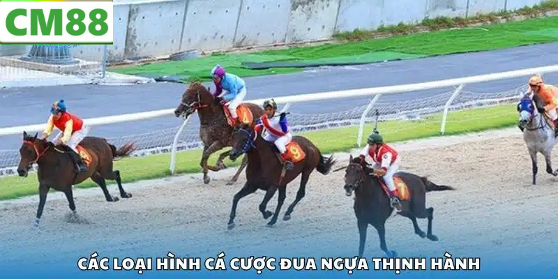 Chiến Thuật Và Mẹo Khi Cá Cược Đua Ngựa